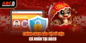 Chính sách bảo vệ dữ liệu cá nhân tại Abc8.