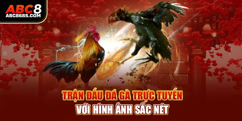 Trận đấu đá gà trực tuyến với hình ảnh sắc nét.