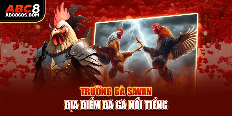 Trường gà Savan – địa điểm đá gà nổi tiếng.