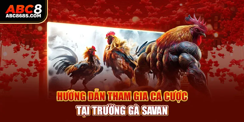  Hướng dẫn tham gia cá cược tại trường gà Savan.