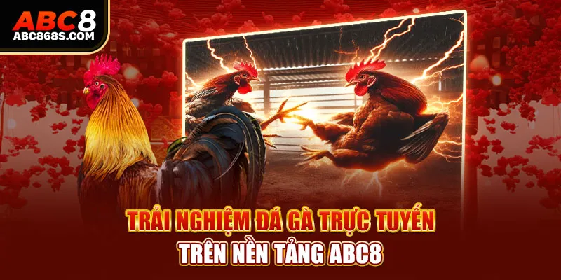 Trải nghiệm đá gà trực tuyến trên nền tảng Abc8