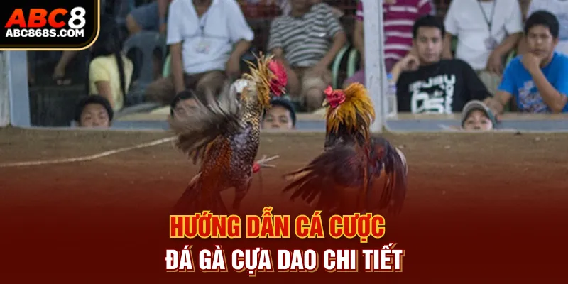 Hướng dẫn cá cược đá gà cựa dao chi tiết.