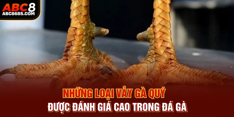 Những loại vảy gà quý được đánh giá cao trong đá gà.