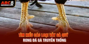 Tìm hiểu các loại vảy gà quý trong đá gà truyền thống.