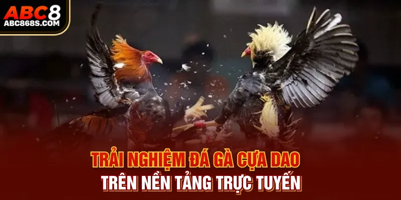 Trải nghiệm đá gà cựa dao trên nền tảng trực tuyến.